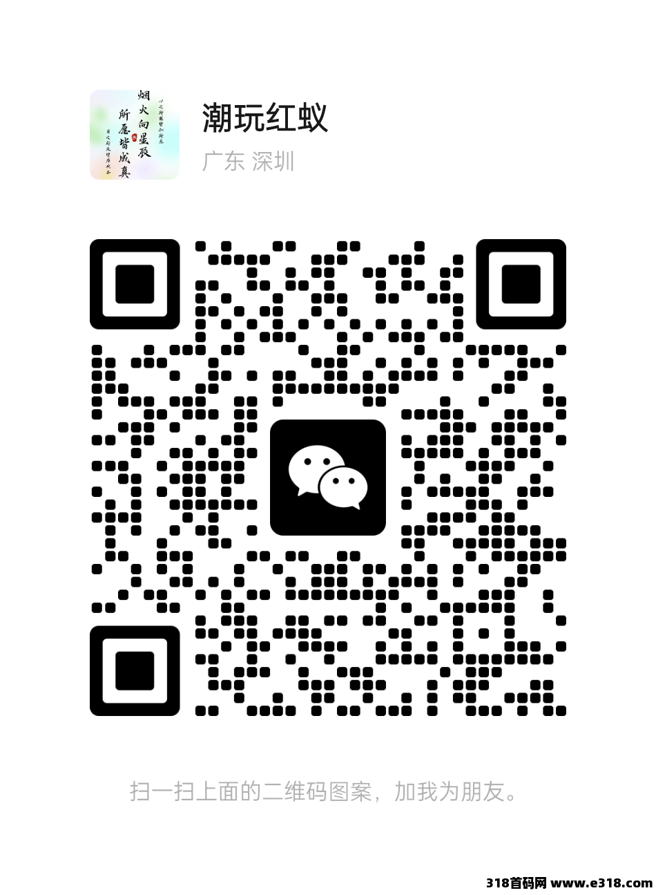 时光纪元，2025火爆0撸网赚项目