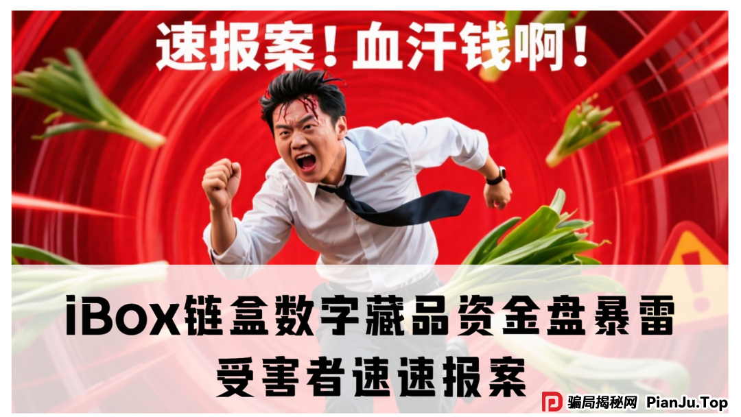 震哥独家起底：iBox链盒数字藏品资金盘暴雷！受害者速速报案，别让骗子逍遥